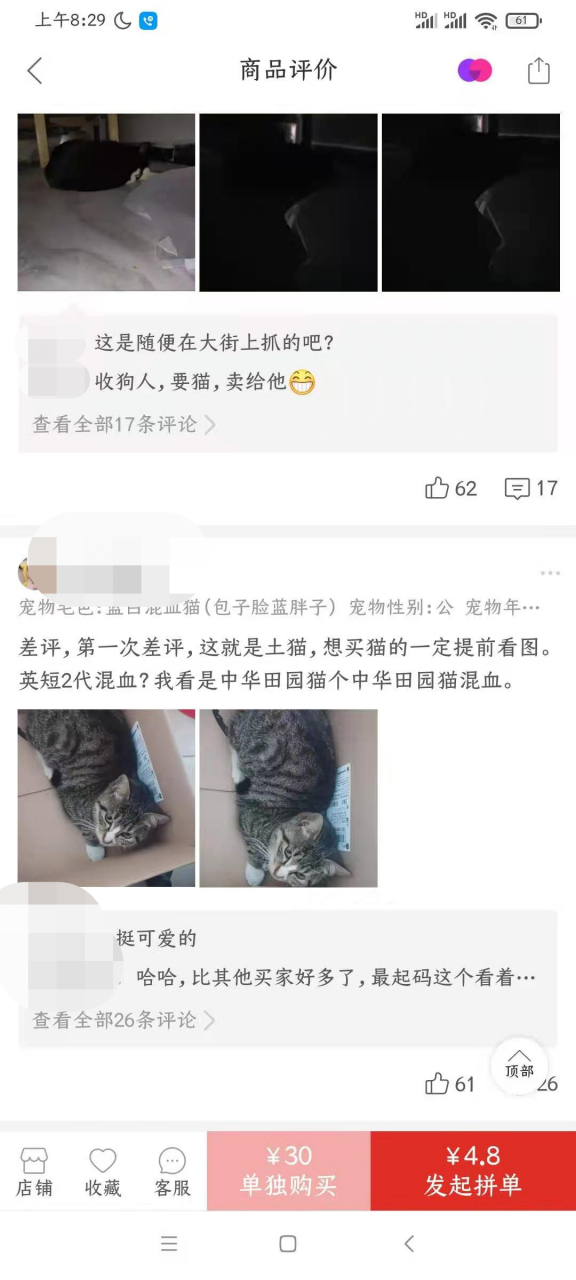 从宠物盲盒到在线“拼猫”，这些宠物商家有多损？