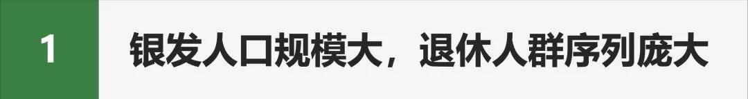 活力银发研究 | 每年有2000万人退休时，我们该如何把握银发经济的机遇期？